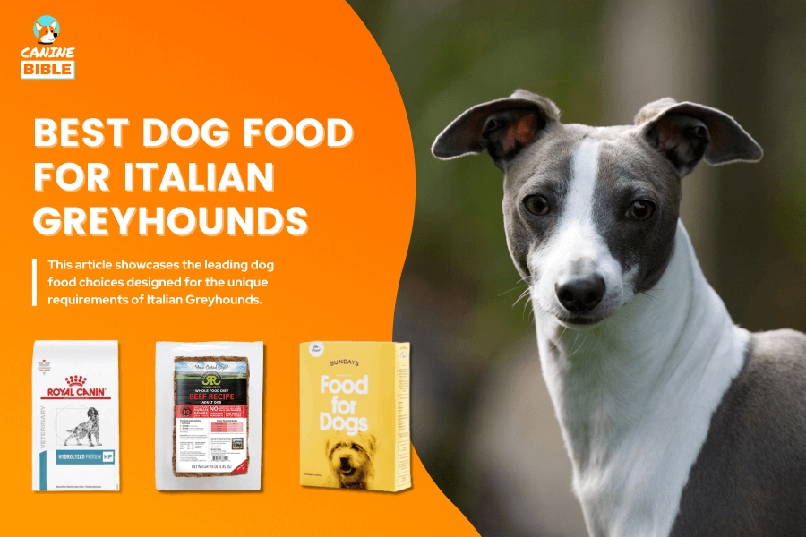 Best Dog Food For Italian Greyhounds