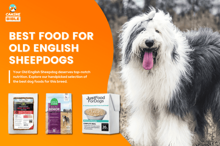 Best Dog Food For Old English Sheepdogs 2023 [Vet’s Picks]