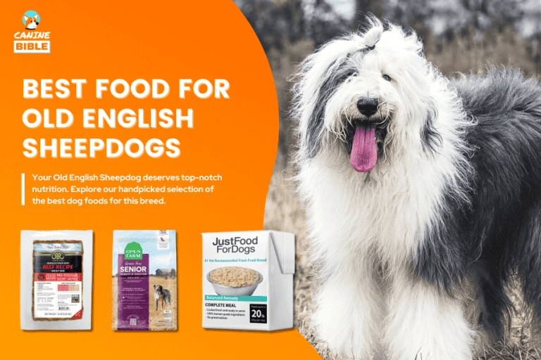 Best Dog Food For Old English Sheepdogs 2024 [Vet’s Picks]