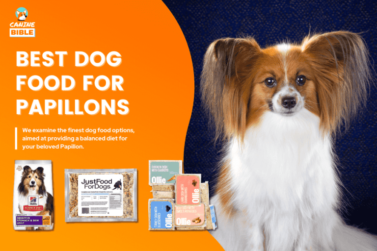 Best Dog Food For Papillons 2024: Top Picks & Reviews