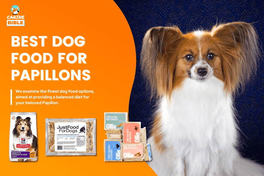 Best Dog Food For Papillons