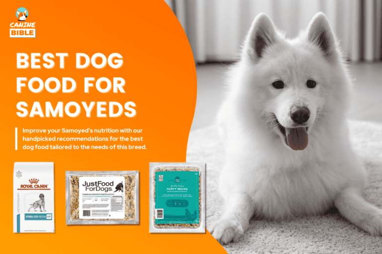 Best Dog Food For Samoyeds of July 2024 — Top Picks & Reviews