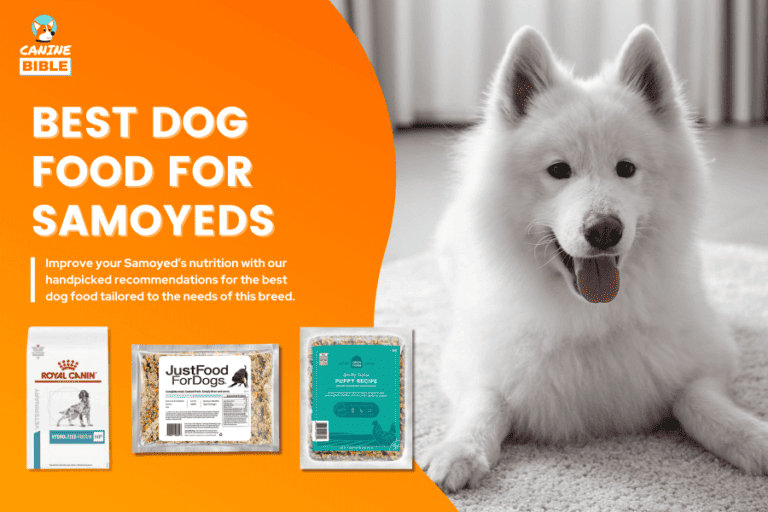 Best Dog Food For Samoyeds