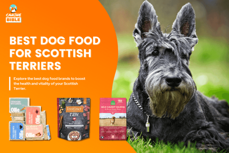 Best Dog Food For Scottish Terriers
