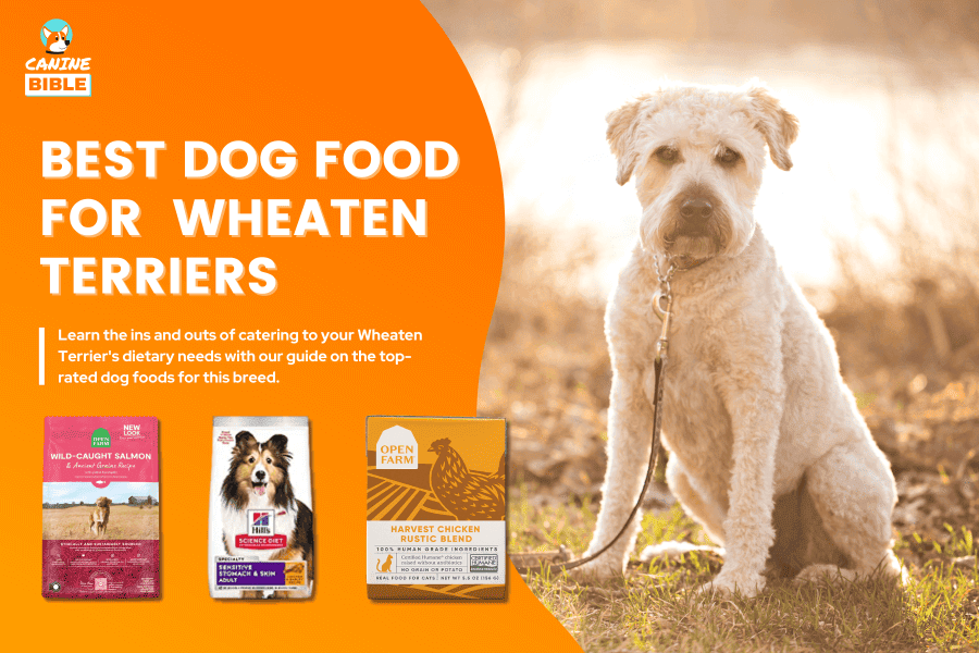 Best Dog Food For Soft Coated Wheaten Terriers