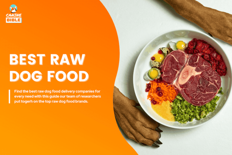 Best Raw Dog Food