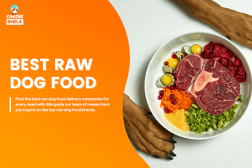 Best Raw Dog Food