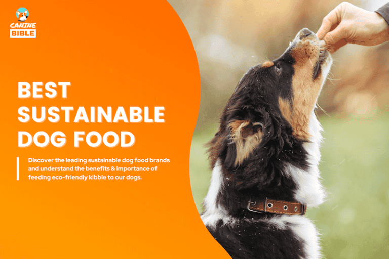 sustainable dog food
