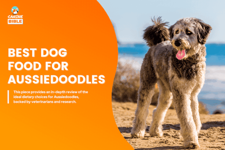 Best Dog Food For Aussiedoodles