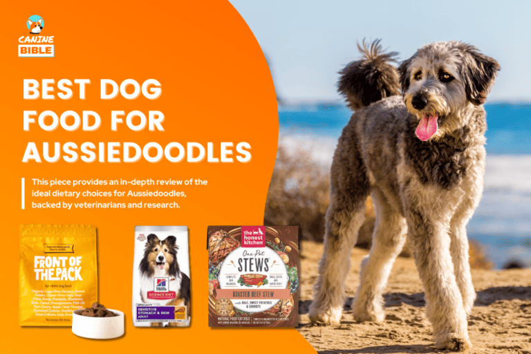 Best Dog Food For Aussiedoodles: Expert Guide 2024 [Review]