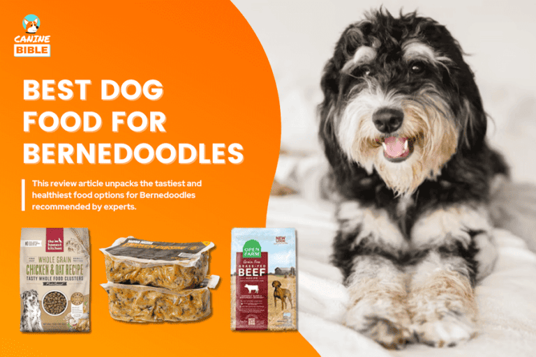 Best Dog Food For Bernedoodles — Top Picks By Experts [Reviews]