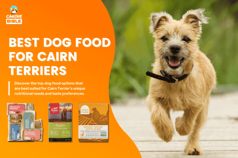 Best Dog Food For Cairn Terriers: Top Picks By Experts [2024]