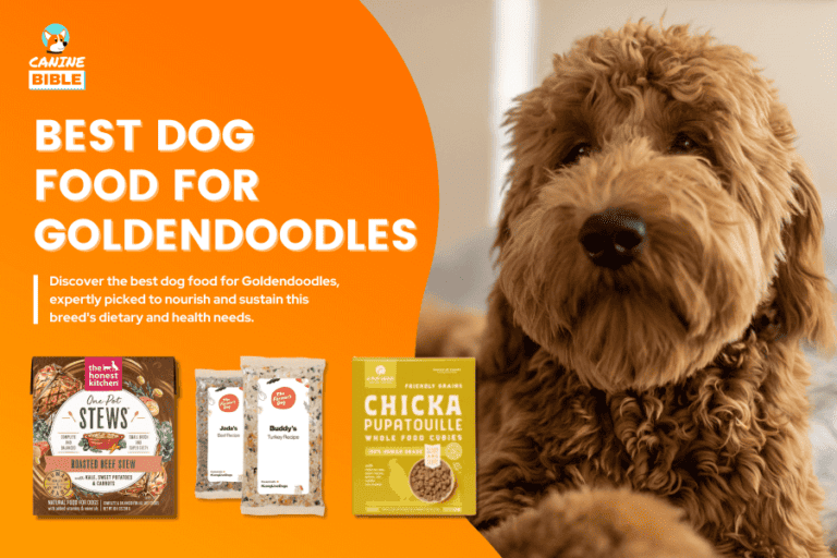 Best Dog Food For Goldendoodles 2024 [Vet Recommended]