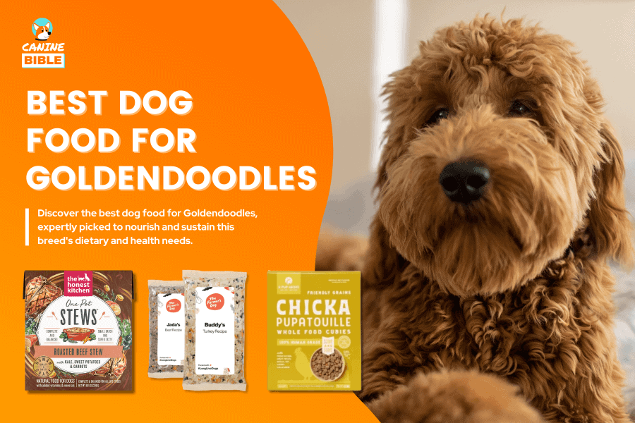 Best Dog Food For Goldendoodles