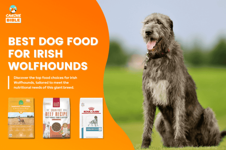 Best Dog Food For Irish Wolfhounds: Top Picks & Reviews