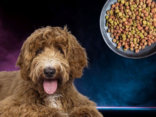 Best Dog Food For Labradoodles chapter 1