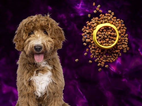 Best Dog Food For Labradoodles chapter 2