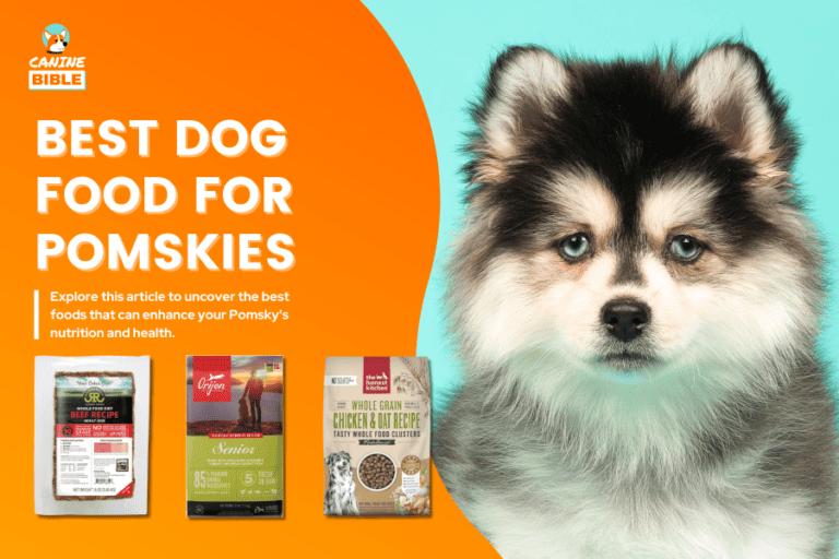 The 10 Very Best Dog Food For Pomskies: Top Picks 2024