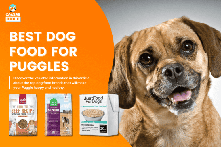 Best Dog Food For Puggles 2024: Top Picks Unveiled & Reviewed