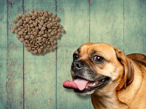 Best Dog Food For Puggles chapter 3