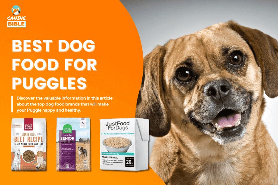 Best Dog Food For Puggles 2024 Top Picks Unveiled Reviewed Canine Bible