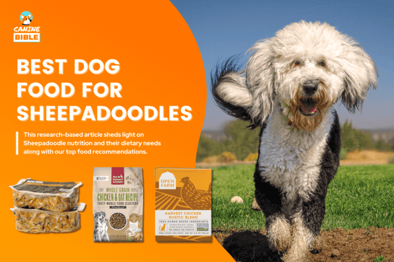 Best Dog Food For Sheepadoodles: For Optimal Nutrition