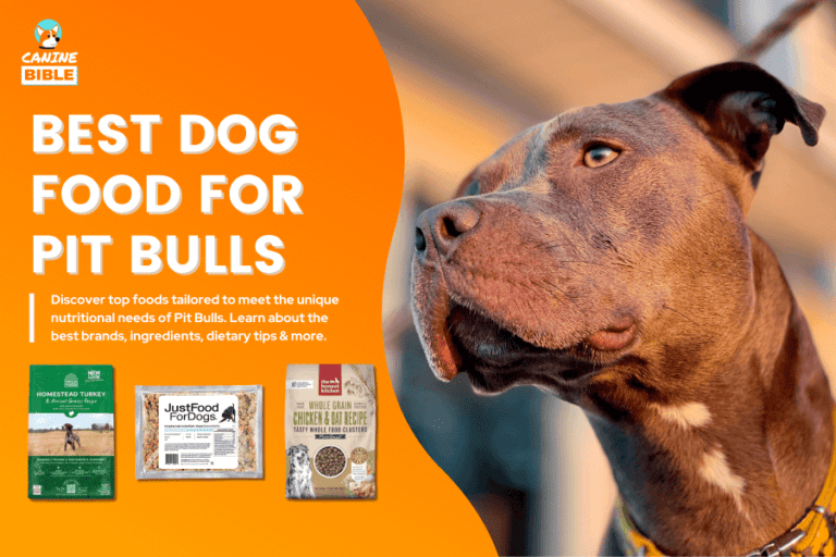 Best Dog Food For Pit Bulls: For Optimal Nutrition & Taste