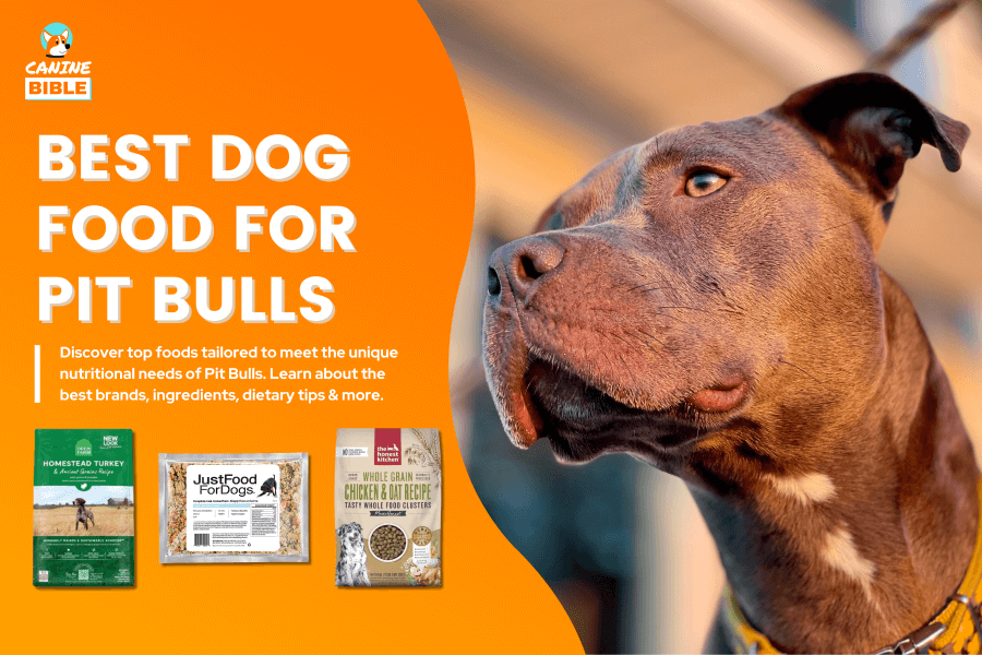 Best Dog Food For Pit Bulls