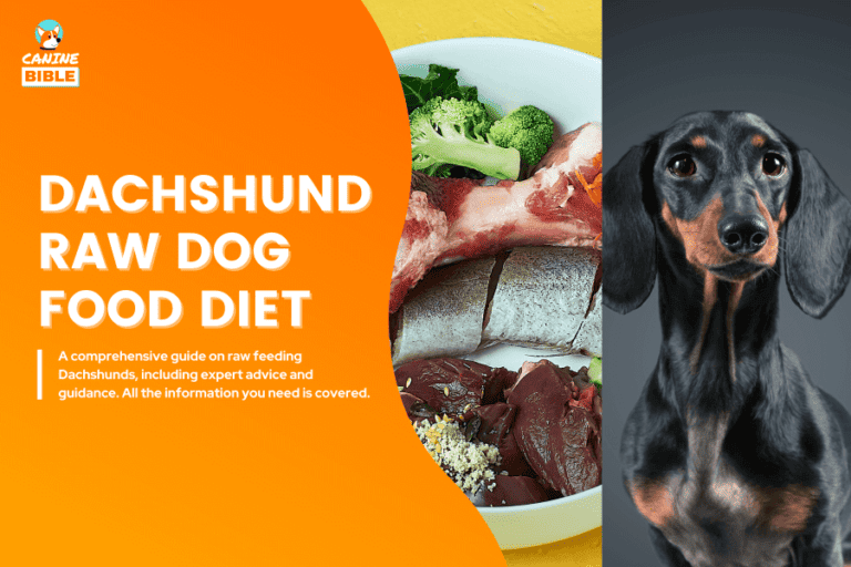 Dachshund Raw Dog Food Diet Guide: Recipes, Benefits & FAQs