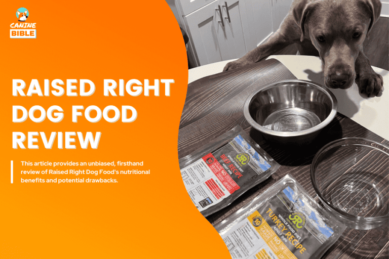 Raised Right Dog Food Reviews: From Taste Test to Ingredient Analysis