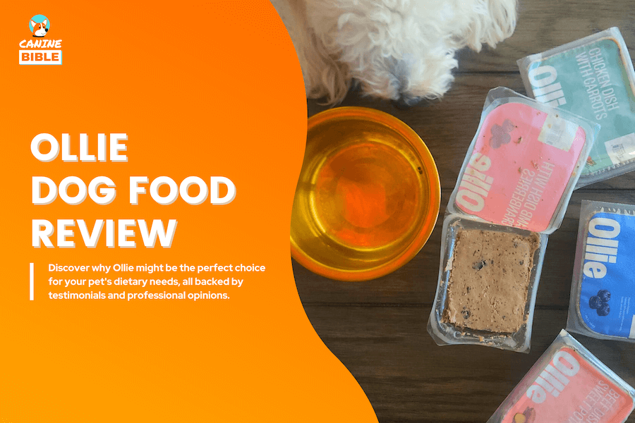 ollie dog food reviews