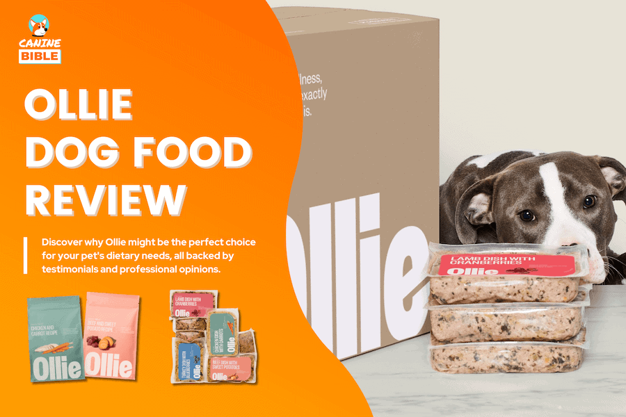 ollie dog food reviews