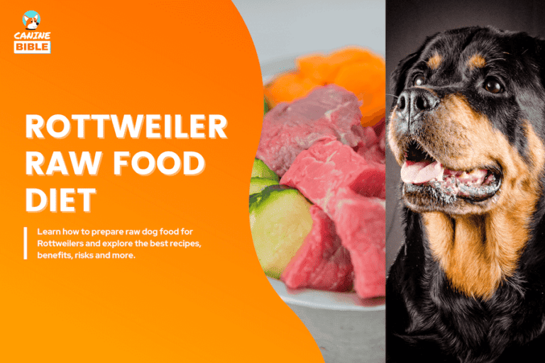 Best Raw Dog Food Diet For Rottweilers: Recipes, Benefits & FAQs