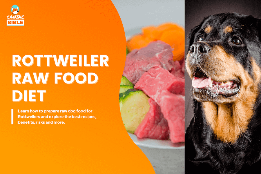 raw diet for rottweilers