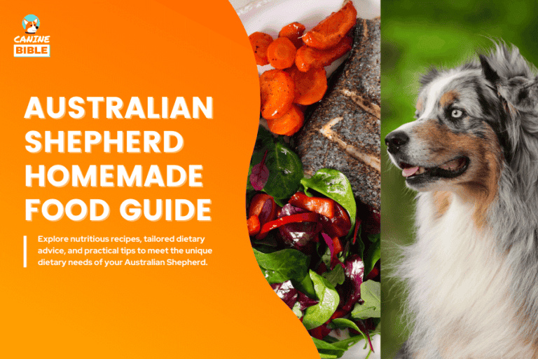 Australian Shepherd Homemade Food Guide: Recipes & Nutrition Advice