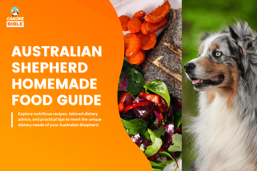 Australian Shepherd Homemade Dog Food