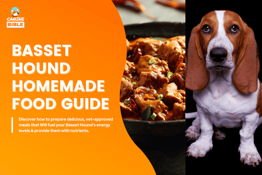 Basset Hound Homemade Food