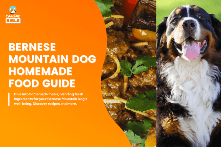 Bernese Mountain Dogs Homemade Dog Food Guide: Recipes & Nutrition Advice