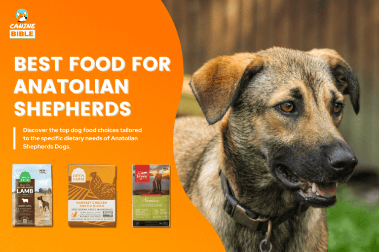 Best Dog Food For Anatolian Shepherd Dogs: Voted By Experts