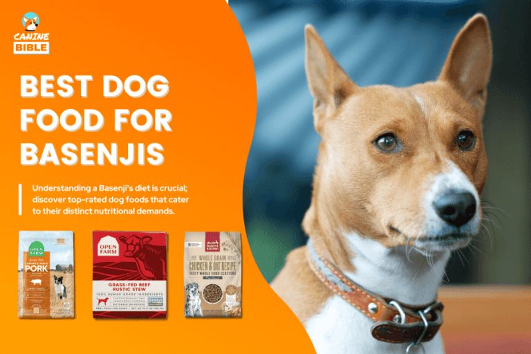 Best Dog Food For Basenjis 2024 — For All Needs