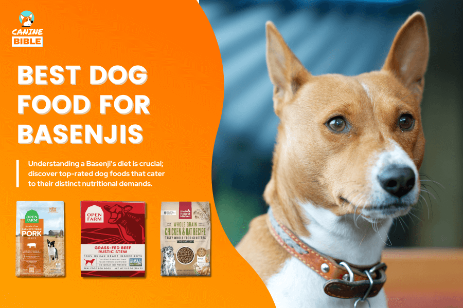 Best Dog Food For Basenjis