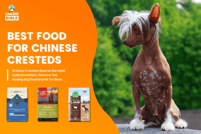 Best Dog Food For Chinese Cresteds — Ultimate Picks 2023