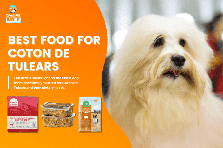 Best Dog Food For Coton de Tulears