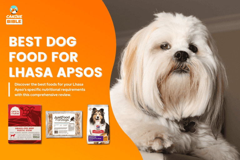 Best Dog Food For Lhasa Apsos