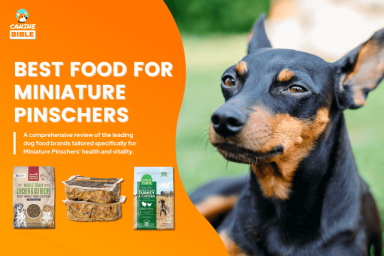 Best Dog Food For Miniature Pinschers 2023 [Expert-Picked]