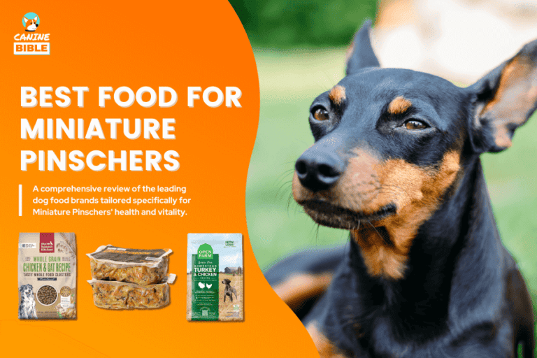 best dog food for miniature pinschers