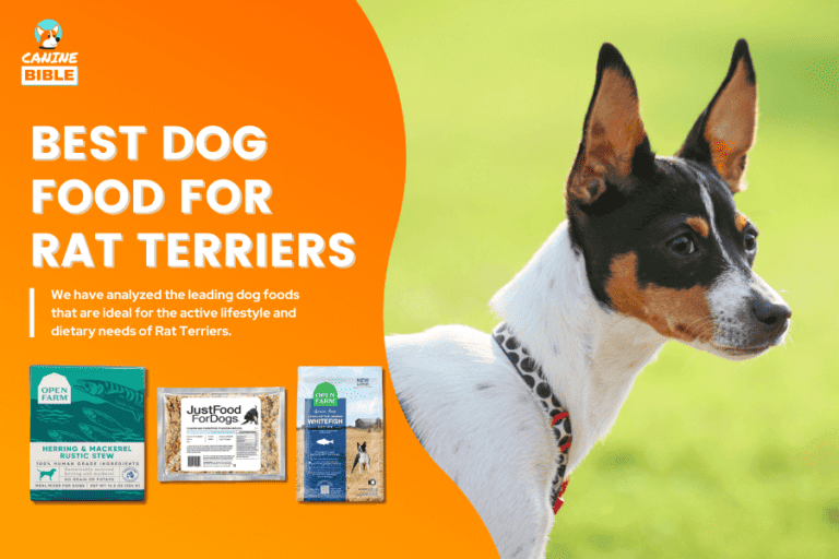 Best Dog Food For Rat Terriers: Tested For Flavor & Nutrition