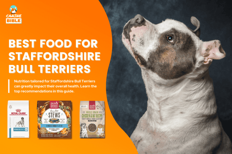 Best Dog Food For Staffordshire Bull Terriers [Reviews]