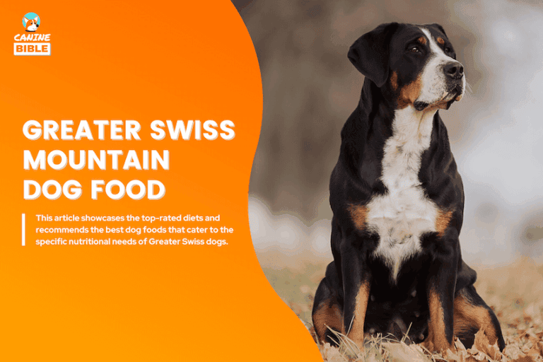 Best Dog Food For Greater Swiss Mountain Dogs
