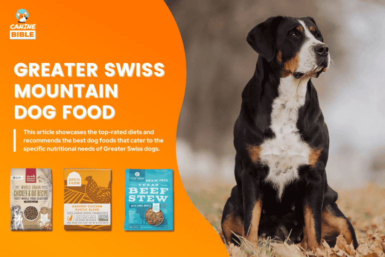 Best Dog Food For Greater Swiss Mountain Dogs — Tested & Reviewed